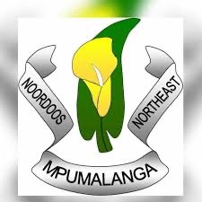 Original crest logo with a central yellow calla lily on a green leaf surrounded by white ribbon banners containing the text 'NOORDOOS', 'NORTHEAST', and 'MPUMALANGA'. logo featuring white, green, yellow colours